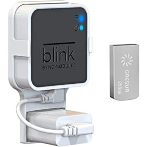 256GB Blink USB Flash Drive for Local Video Storage with The Blink Sync Module 2 Mount (Blink Add-On Sync Module 2 is NOT Included)